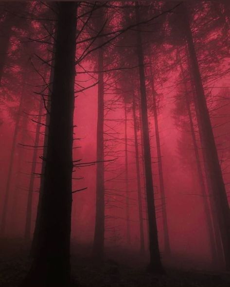 Bigfoot Poster, Monochromatic Drawing, Blue Ombre Wig, Spooky Pictures, Red Aesthetic Grunge, Pink Grunge, Red Forest, Nostalgic Pictures, Pink Forest