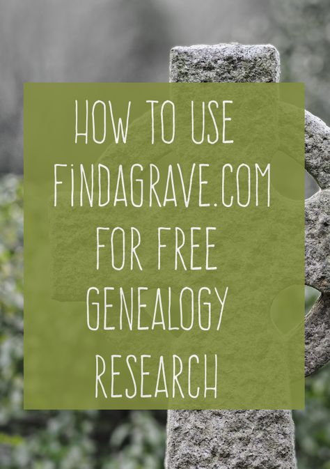 Family Tree Diy, Free Genealogy Sites, Family History Projects, Genealogy Organization, Genealogy Help, Family Tree Research, Genealogy Websites, Ancestry Family Tree, Genealogy Forms