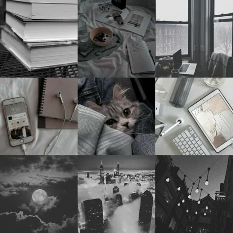 Gray Moodboard Aesthetic, Aesthetic Character Moodboard, School Moodboard Aesthetic, Cat Moodboard Aesthetic, Mood Boards Character Design, Moodboards For Characters, Grey Mood Board Aesthetic, Moodboards For Ocs, Grey Moodboard Aesthetic