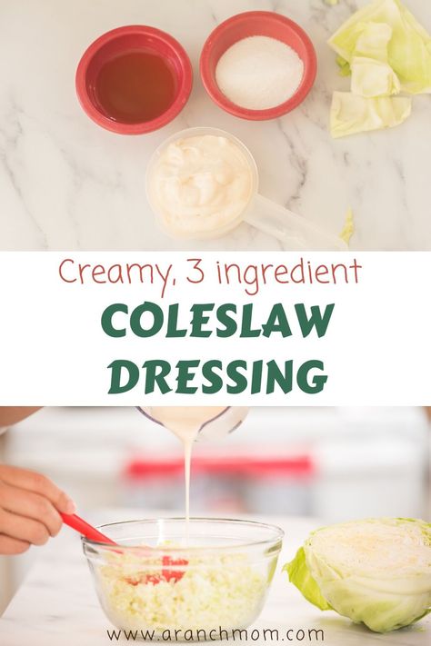 Three ingredient coleslaw dressing recipe. Creamy and tasty!! #easyrecipe Easy Coleslaw Dressing, Coleslaw Dressing Recipe, Seafood Healthy, Easy Coleslaw, Layer Salad, Coleslaw Recipe Easy, Slaw Dressing, Coleslaw Dressing, Lactose Free Recipes