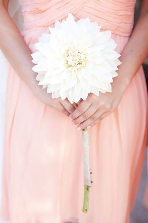 12 Single-Stem Bouquets for the Minimalist Bride via Brit + Co Single Flower Bouquet, San Clemente Wedding, Dahlia Bouquet, Minimalist Bride, Peach Wedding, Flower Ideas, Bridesmaid Flowers, Single Flower, Big Flowers