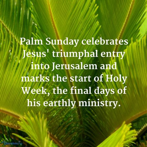 What happened on #PalmSunday, and why do we celebrate it? http://www.gotquestions.org/Palm-Sunday.html Palm Sunday Images, Palm Sunday Quotes, Happy Palm Sunday, Triumphal Entry, Sunday Messages, Sunday Pictures, Sunday Greetings, Sunday Images, Easter Quotes