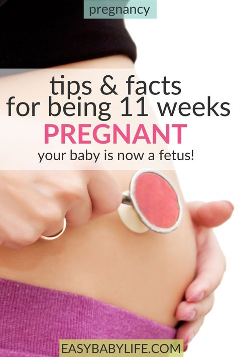 11 weeks pregnant, and your baby is now a fetus! Here fetal development, belly growth, and pregnancy symptoms are all covered for this wekk of the first trimester. Your pregnancy week by week, pregnancy tips, first trimester, 1st trimester, pregnancy tips, pregnancy timeline #pregnancy #pregnant Pregnancy Tips First Trimester, 1st Trimester Pregnancy, Week By Week Pregnancy, 11 Weeks Pregnant, 15 Weeks Pregnant, Pregnancy Timeline, Motherhood Advice, Pregnancy Week, 1st Trimester