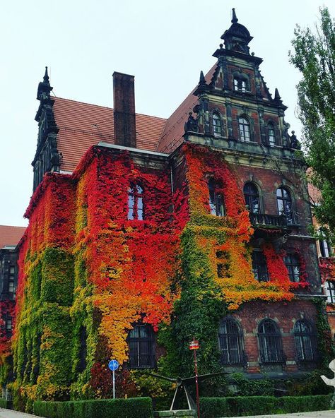 National Museum In Wrocław, Poland By Anna Kowalów Wroclaw, Old Building, Beautiful Architecture, Beautiful Buildings, Macedonia, Pretty Places, Tiny Homes, National Museum, Abandoned Places