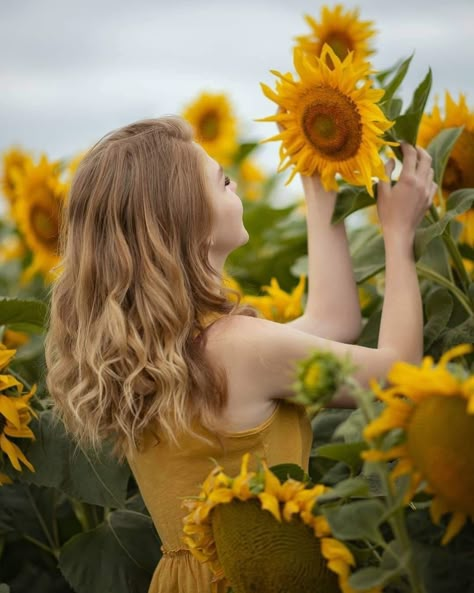 Sunflower Field Photography, Sunflower Field Pictures, Autumn Photography Portrait, Field Pictures, Makeup Illustration, Sunflower Photography, Half Shaved Hair, Sunflower Photo, Sunflower Pictures