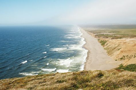 Bodega Bay California, Sonoma Vineyards, Top Golf Courses, Sonoma Coast, Bodega Bay, The Pacific Ocean, Trout Fishing, Travel Scrapbook, California Travel