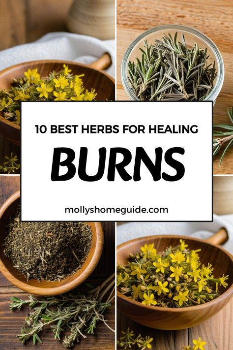 Discover the power of medicinal herbs for burns with our herbal burn salve. Our healing calendula salve can help manage burns naturally, providing relief and promoting the healing process. Stock your herbal first aid kit with herbs for burns and scrapes to support natural healing. Try our selection of herbal salves for burns to soothe and nourish skin after minor accidents. Incorporate herbs to treat and relieve burns into your wellness routine for a holistic approach to skincare. Herbs For Burns, Herbs To Burn, Burn Salve, Herbal First Aid Kit, Herbs For Healing, Herbal First Aid, Burn Remedy, How To Heal Burns, Cloves Benefits