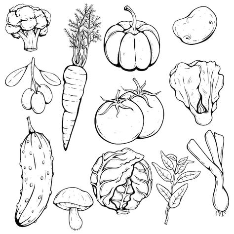 Hand drawing set of fresh vegetables wit... | Premium Vector #Freepik #vector #vegetable-icon #vegetable-sketch #tomato-icon #vegetables-drawing White Background Drawing, Tomato Drawing, Vegetable Drawing, Line Images, Farmers Market Recipes, Background Drawing, Watercolor Flower Art, Drawing Set, Vector Hand