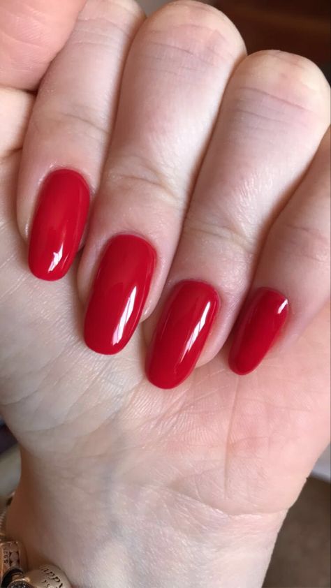 Scarlet Red Nails, Bossy Nails, Long Red Nails, Red Manicure, Potluck Recipes, Winter Nail Designs, Winter Nail, Elegant Nails, Long Red