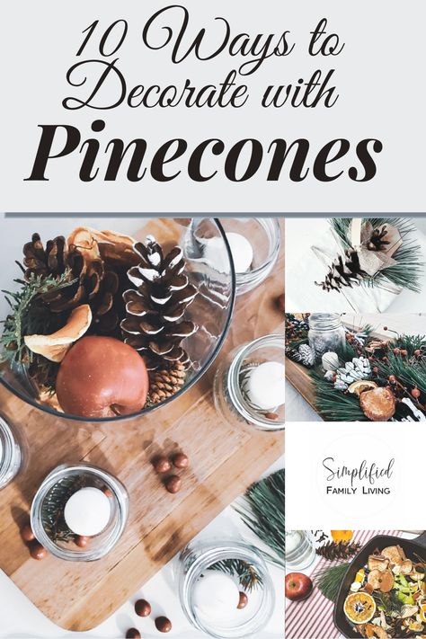 Holiday Pinecone Decor, Gold Pinecones Centerpiece, Pine Cone Christmas Decorations Table, Pinecone Home Decor, Decorating With Pine Cones For Christmas, Pinecone Vase Centerpiece, Christmas Decor With Pine Cones, Pinecone Decorations Christmas, Pinecone Centerpiece Ideas