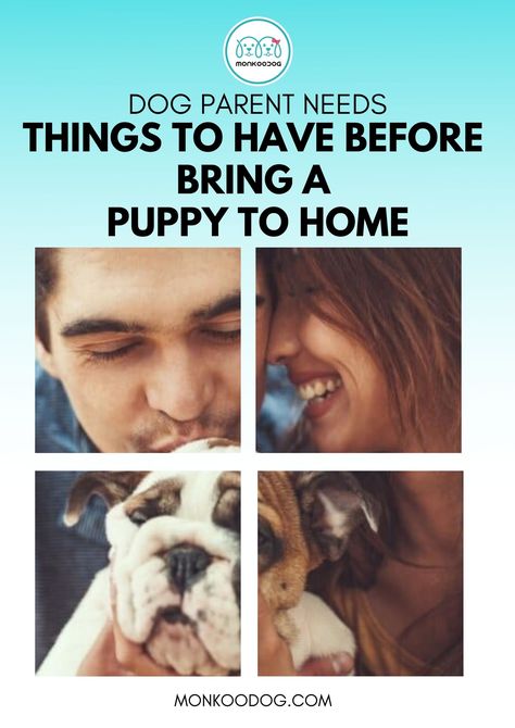 Bringing Home Puppy, Best Puppy Food, Puppy Proofing, First Dog, Family Units, Getting A Puppy, Puppy Food, Dog Tips, Dog Care Tips