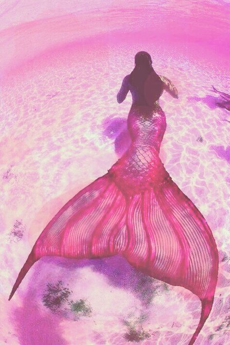 Pink Mermaid Aesthetic, Pink Mermaid Tail, No Ordinary Girl, Mermaid Melody Pichi Pichi Pitch, Silicone Mermaid Tails, Mermaid Man, Mermaid Wallpapers, Mermaid Cove, Fantasy Mermaids