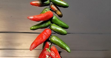 How to string and hang dry jalapeno peppers Hanging Peppers To Dry, Stringing Peppers To Dry, Drying Peppers Hang, Drying Jalapeno Peppers, How To Dry Jalapeno Peppers, Dried Jalapenos, Tennessee Homestead, Drying Peppers, Green Jalapeno