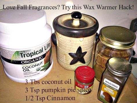 Why This Wax Warmer Hack Doesn't Work Coconut Oil In Wax Warmer, Natural Wax Warmer Recipes, Coconut Oil Wax Warmer Recipes, Wax Warmer Hacks House Smells, Wax Warmer Hacks, Wax Warmer Diy, Homemade Fragrance, Coconut Oil Candle, Natural Wax Melts