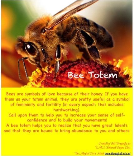 Bee Totem, Animal Prayers, Bee Spirit Animal, Bee Magic, Spiritual Animals, Animal Totem Spirit Guides, Nature Spirituality, Spirit Animal Meaning, Animal Meanings