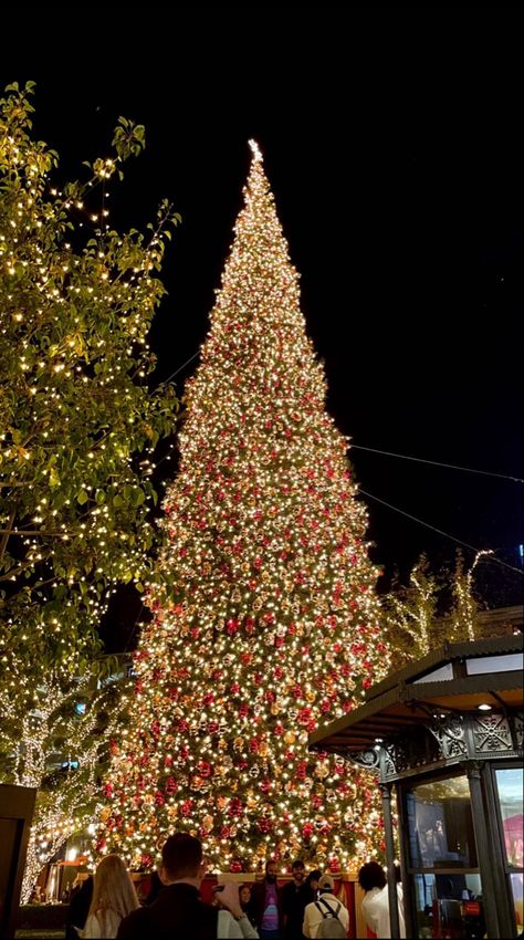 Christmas In Los Angeles Aesthetic, Los Angeles Christmas Aesthetic, Ney York Christmas Aesthetic, New York Xmas, La Christmas, Christmas Los Angeles, New York City Christmas Aesthetic, City Christmas, Christmas In Los Angeles