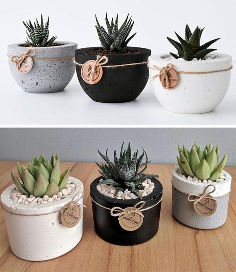 9 Modern Succulent Pots To Show Off Your Tiny Plants Suculentas Ideas, Ceramic Succulent Pots, Mini Plant Pots, Cactus Types, Ceramic Succulent, Hanging Succulents, Cement Pots, Tiny Plants, Mini Plants