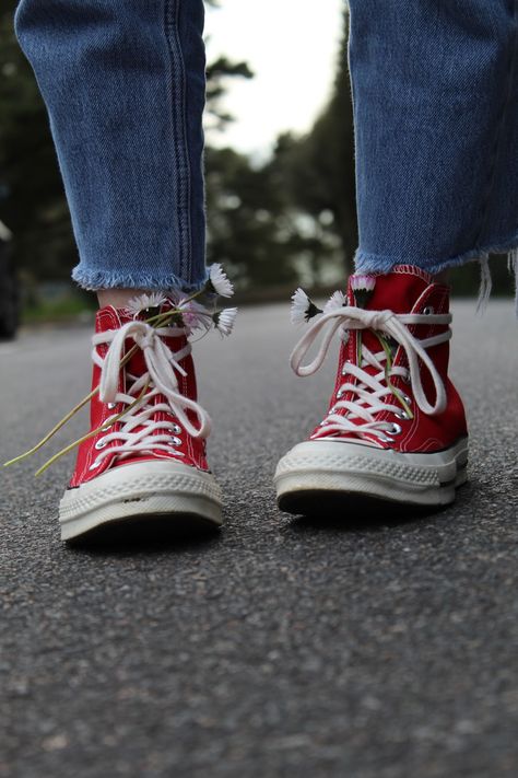 Converse Shoes Photography, Flowers In Shoes, Shoes Photography, Converse Shoes, Portrait Photography, Converse, Flowers, Photography