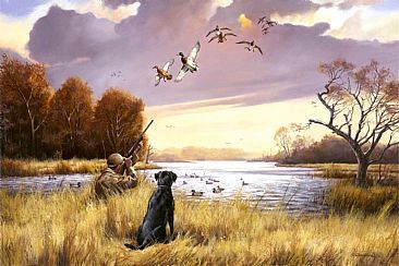 The Sky is the Limit - Mallard Hunting Scene by Larry Chandler Waterfowl Art, Hunting Painting, Hunting Art, Hunting Scene, Embroidery Wall Art, Wall Art Crafts, Dog Artwork, Duck Hunting, Natural Scenery