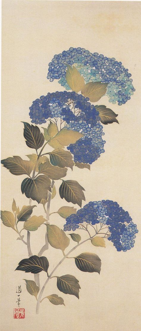 Hydrangeas. Sakai Hōitsu. Japanese hanging scroll. Late eighteenth or early nineteenth century. Hydrangea Illustration, Herbs Illustration, Chinese Dynasty, Japan Painting, Japanese Watercolor, Watercolor Projects, Japanese Flowers, Color Flower, Japanese Woodblock Printing