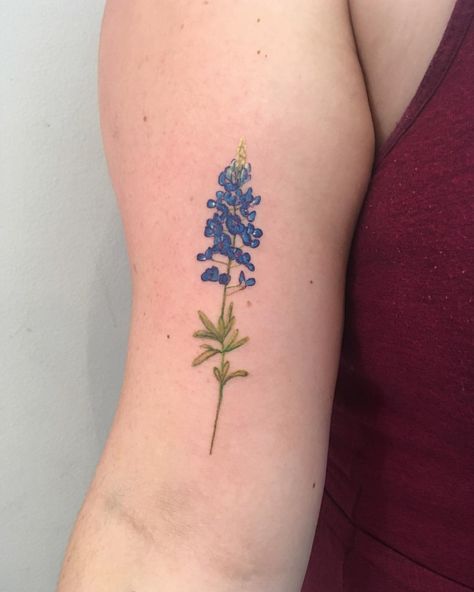 The winner of my 5k tattoo giveaway was @katenaudin and she got this watercolor blue bonnet tattoo 🌿🔹thanks, Kate! . . . . . . . . .… Texas State Flower Tattoo, Bluebonnet And Indian Paintbrush Tattoo, Austin Texas Tattoo Ideas, Alaska Themed Tattoos, Texas Theme Tattoo, Texas Bluebonnet Tattoo, Alaska Tattoo Ideas, Texas Themed Tattoos, Blue Bonnet Tattoo