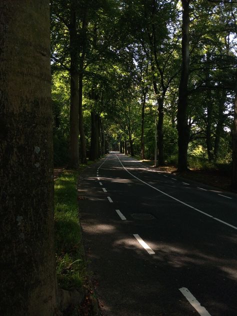 #tree #road #forest #vibe #summer #leaves #walging #core #street Road Photos, Cinematic Art, Tree Road, Summer Leaves, City Sign, Street Trees, Forest Background, Forest Road, Long Road