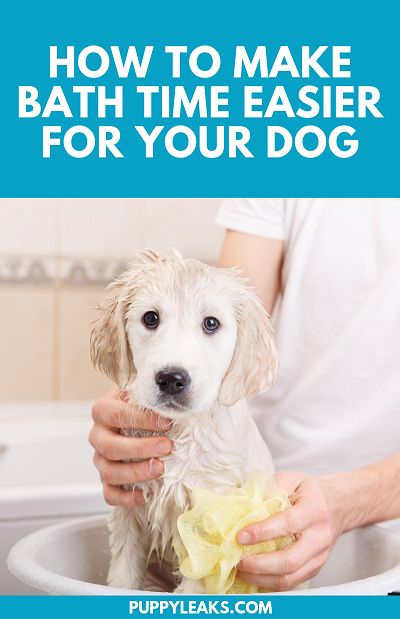 Dog Life Hacks, Dog Grooming Tips, Dog Grooming Supplies, Dog Exercise, Best Dog Training, Dog Health Care, Dog Bath, Aggressive Dog, Dog Care Tips