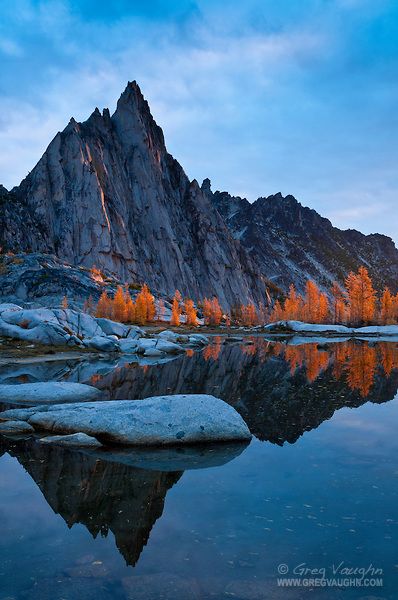 Larch Tree, Scenic Photos, The Enchantments, Alpine Lake, Paradise On Earth, Open Spaces, Mountain Lake, America Travel, Tree Art