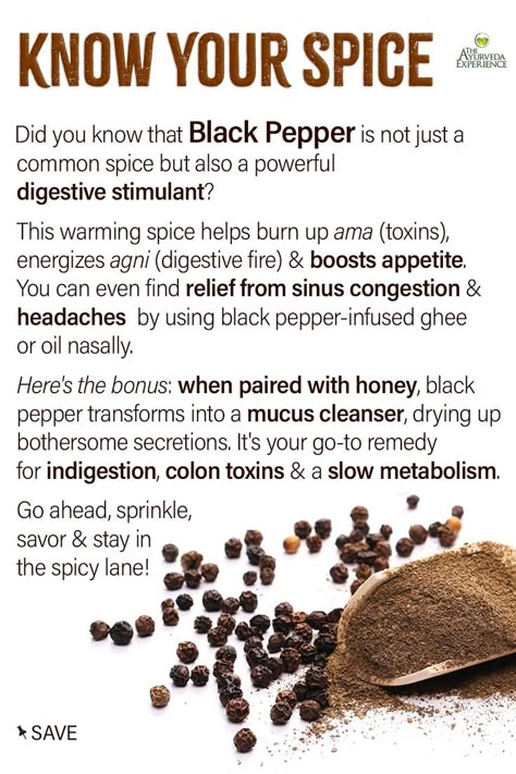 spices and black pepper health benefits for digestion and gut health Spices Health Benefits, Indian Spices List, Spices List, Detox Herbs, Herbal Education, Ayurveda Recipes, Gut Healing Recipes, Sick Remedies, Raw Foods