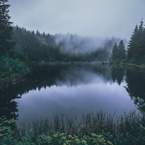 Water Forest Aesthetic, Forest Lake Aesthetic Dark, Lake In Forest Aesthetic, Dark Lake Aesthetic, Pine Forest Aesthetic, Lake In Woods, Forest Lake Aesthetic, Forest Cottage Aesthetic, Lake In A Forest