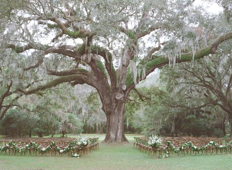 Golf Resort Wedding, Virgil Bunao, Garden Wedding Cake, Charleston Bride, Charleston Wedding Venues, Flower Board, Middleton Place, Charleston Weddings, Lowcountry Wedding