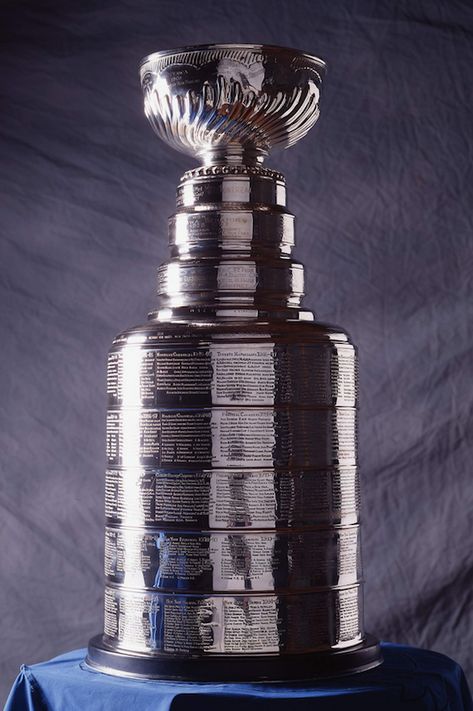 Stanley Cup Trophy, Hockey Cup, St Louis Blues Hockey, Trophy Display, Oilers Hockey, Nhl Playoffs, Nfl Teams Logos, Stanley Cup Champions, St Louis Blues