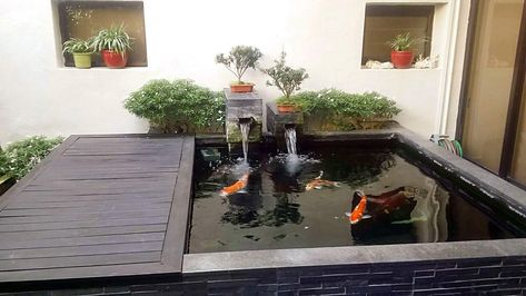 Above Ground Pond, Raised Pond, Backyard Aquaponics, Kolam Koi, Aquaponic Gardening, Carpe Koi, Natural Swimming Pools, Can I Ask, Aquaponics System