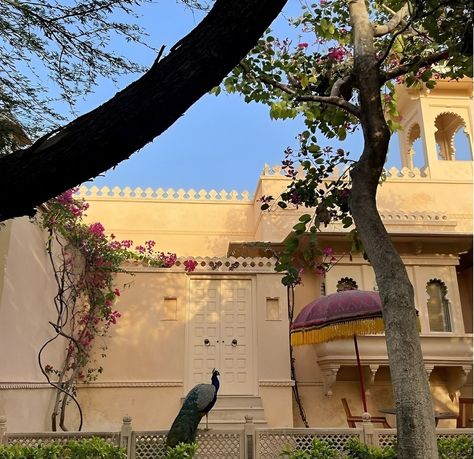 Capturing the grandeur of Rambagh Palace, where opulence meets history in every corner. In the world of Tooshmoda, this iconic backdrop inspires timeless elegance and regal charm. #RambaghPalace #TooshmodaStyle #RoyalHeritage #PalaceLife #LuxuryTravel #HistoricElegance #IndianArchitecture #OpulentDesigns #FashionInspiration #CulturalRiches #HeritageSite #RegalSplendor #TooshmodaLove #TravelGoals #LuxuryLifestyle #ArchitecturalBeauty #ExploreIndia #PalatialVibes #TimelessFashion #Fashionabl... India Core Aesthetics, Vrindacore Aesthetic, India Aethstetic, Palak Core Aesthetic, India Travel Aesthetics, India Asethic, Radhika Core, Bhoomi Core, India Asthetic Pics