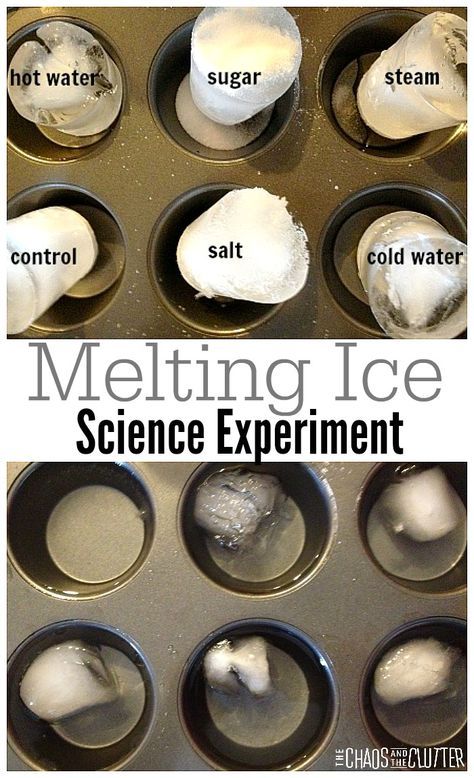 This melting ice science experiment is perfect for exploration for children and for science fairs. Science Experiments For Children, Easy Science Fair Projects, Science Experience, Science Fair Ideas, Winter Science, Science Fair Project, Science Club, Experiments Kids, Kid Experiments