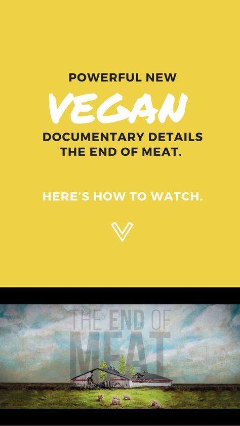 Powerful New Vegan Documentary Details the End of Meat. Here’s How to Watch. Vegan Gluten Free Banana Bread, Vegan Documentaries, Jim Morrison Movie, Animals Rights, Gluten Free Banana Bread, Vegan Ideas, Why Vegan, Vegan Quotes, Being Vegan