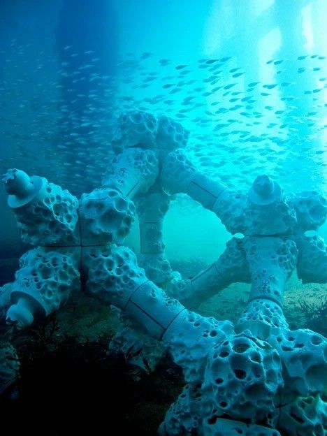 Artificial Reef, Artificial Coral, American Ceramics, Modular Structure, Coral Reefs, Modular System, Contemporary Ceramics, Australian Design, Coral Reef