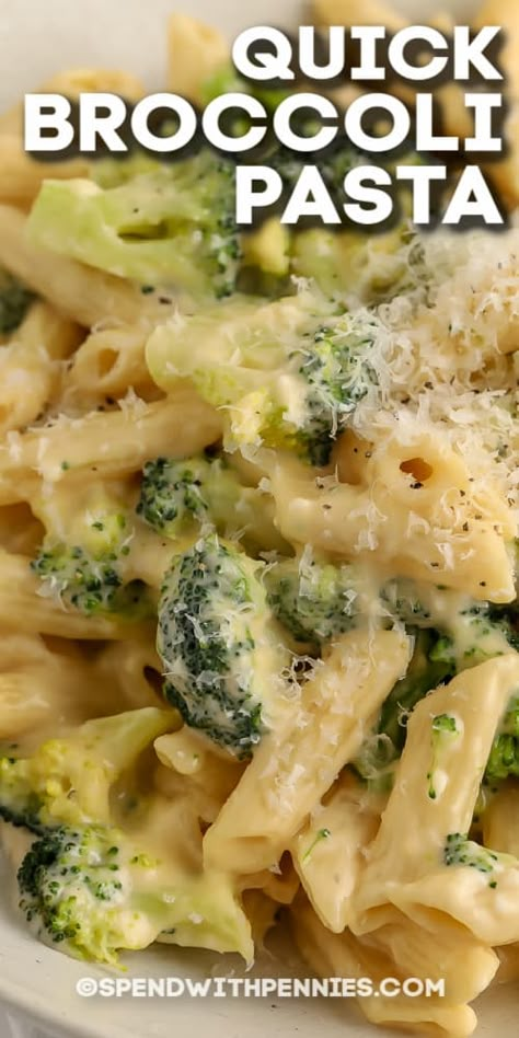 Quick broccoli pasta is great for a simple hot lunch or an easy vegetarian supper. Creamy sauce and broccoli can also be baked into a casserole, as well. #spendwithpennies #quickbroccolipasta #entree #sidedish #recipe #creamy #cheesy #sauce #cheddar #onepot #alfredo #reallyquick #parmesan #easy #best Vegetarian Supper, Pasta And Broccoli, Sauce Cheddar, Apartment Recipes, Broccoli Pasta Recipe, Pasta Side Dishes, Hot Lunch, Pasta Sides, Spend With Pennies