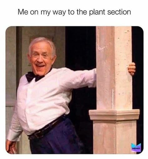 21 Relatable Memes For Plant Lovers - Memebase - Funny Memes Plant Jokes, Gardening Memes, Gardening Humor, Memes Br, Plant Mom, Plant Lady, Bones Funny, Plant Lover, Funny Posts