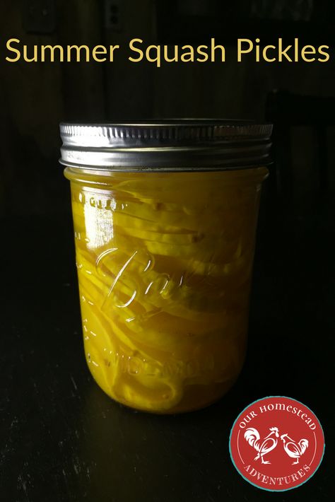 Squash Pickles Canning Recipe, Summer Squash Pickles, Squash Pickles Canning, Squash Jam Recipe, Pickled Squash Canning, Squash Pickles Recipes, Canning Yellow Squash, Pickled Squash Recipe, Pickle Peppers