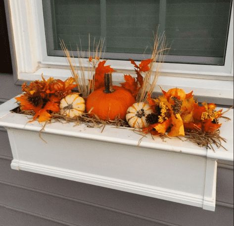 The Best Fall Window Box Ideas • Mama and More Fall Flower Boxes, Fall Window Boxes, Fall Windows, Fall Containers, Window Box Flowers, Porch Planters, Window Planters, Box Decoration, Winter Window