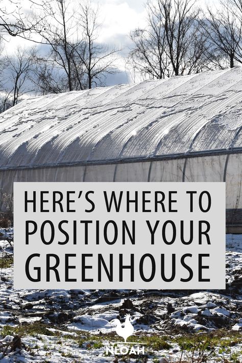 Best Location For Greenhouse, How To Build Your Own Greenhouse, Greenhouse With Sitting Area, Small Greenhouse Ideas Interior Design, What To Grow In A Greenhouse, Greenhouse Interiors Layout, Greenhouse Set Up Inside, Greenhouse Ideas Interior Design, Pit Greenhouse