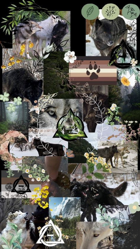 Melanistic Timber Wolf and Timber Wolf Therian Wallpaper. Collage format with wolves, forests, flowers, theta deltas, therian flags and more. Therian Wallpaper, Now Wallpaper, Wolf Therian, Wolf Background, Nature Room, Free Filters, Looking For Friends, Pretty Wallpapers Tumblr, Nature Sketch