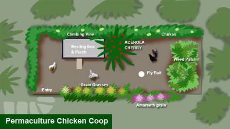 Permaculture-Chicken-Coop1 Urban Chicken Farming, Backyard Animals, Urban Chickens, Chicken Garden, Corner Garden, Free Range Chickens, Keeping Chickens, Mini Farm, Food Forest