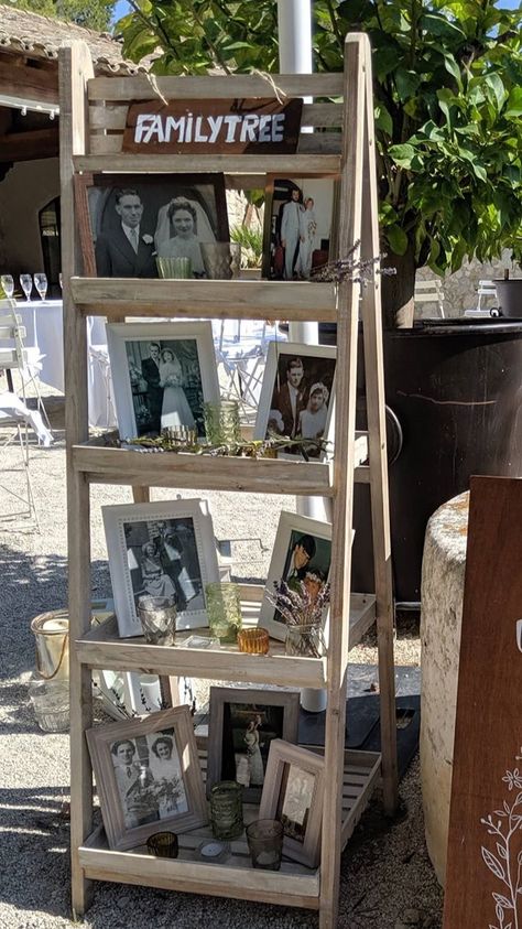 Pictures of relatives weddings in the past on display Wedding Family Tree, Wedding Ladder, Family Tree Wedding, Ladder Tree, Ladder Display, Wedding Display, Wedding Venue Decorations, Wedding Family, Tree Wedding