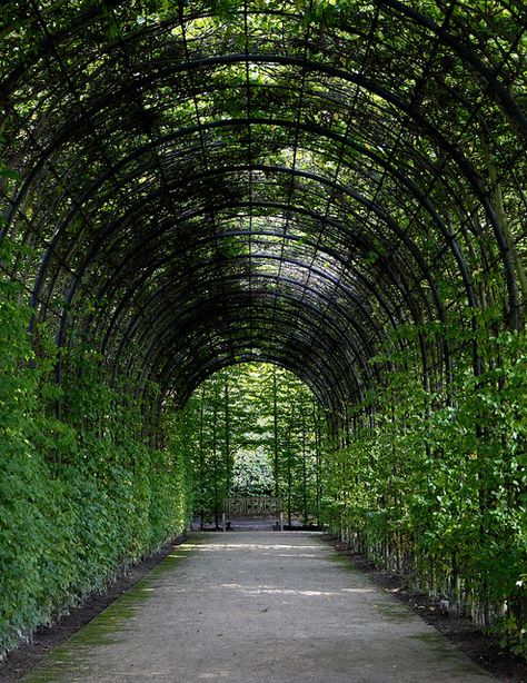 archway, countryside, foliage, garden, summer Persona Background, Foliage Garden, Walkway Design, Landscaping Retaining Walls, Future Garden, Backyard Garden Landscape, Faith Hope And Love, Garden Arbor, Walled Garden