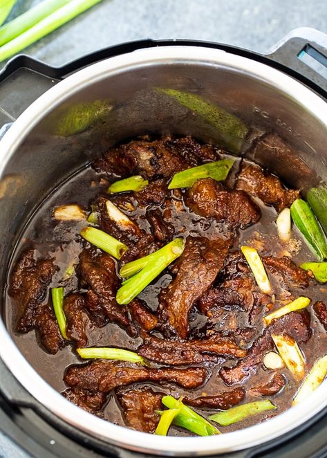 Mongolian Beef in the Instant Pot Persian Beef Stew, Beef Recipe Ideas, Instant Pot Beef Recipes, Instant Pot Mongolian Beef, Instapot Recipes Chicken, Beef Recipe Instant Pot, Skirt Steak Recipes, Better Than Takeout, Southern Kitchen