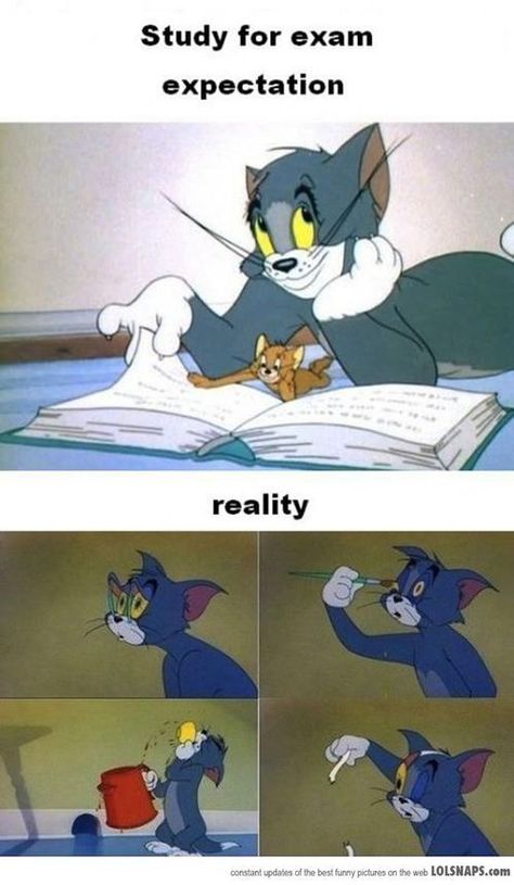 Medical Student Humor, Tom And Jerry Memes, Funny Tom, Studying Memes, Bad Marriage, College Memes, Academic Writing Services, Funny Sports Pictures, Expectation Vs Reality