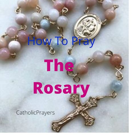 Catholic Prayers: How to Pray the Rosary How To Say The Rosary, How To Pray The Rosary, Immaculate Mary, Saying The Rosary, Rosary Prayers, Danty Jewelry, Protection Prayer, Hail Mary Prayer, Big Stud Earrings