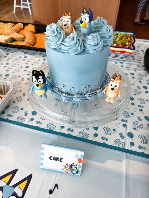 Easy Bluey Cake Ideas, Bluey Cake Ideas, 15th Birthday Cakes, 6 Cake, Kids Recipes, Vanilla Buttercream, 15th Birthday, Buttercream Cake, Mini Cakes